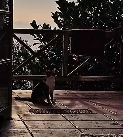 Villa Sunshinehouse Banana Beach Koukounaries
